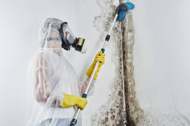 Water Damage Restoration in Callahan, FL