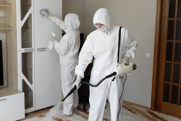 Best Black Mold Removal  in Callahan, FL