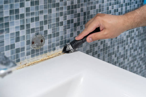 Best Professional Mold Removal  in Callahan, FL